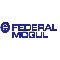 Federal Mogul